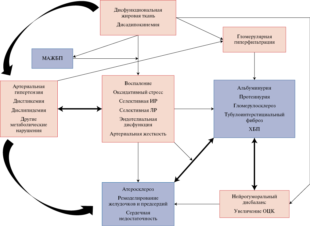 Изображение на обложке