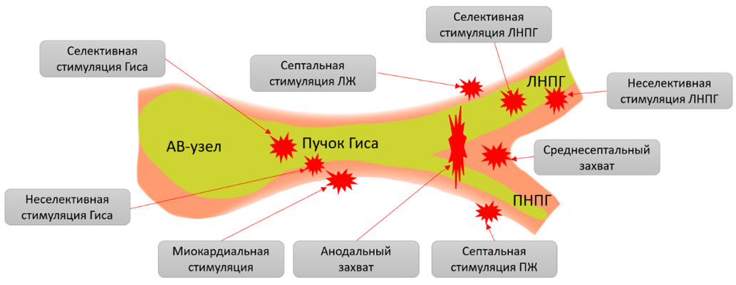 Изображение на обложке