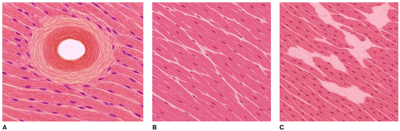 Изображение на обложке