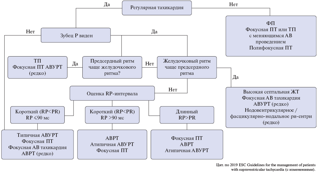 Изображение на обложке
